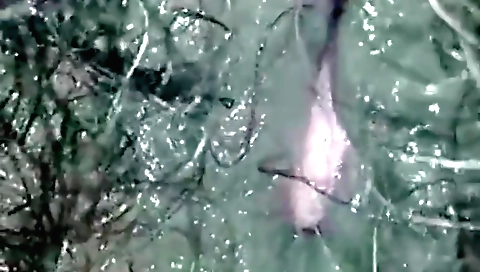 Hairy brunette 3d porn video with a girl with long fingers