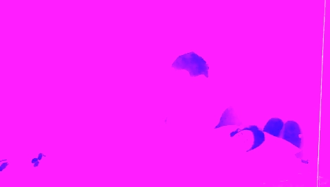 Indian teen shows a blowjob and a vibrator on the webcam