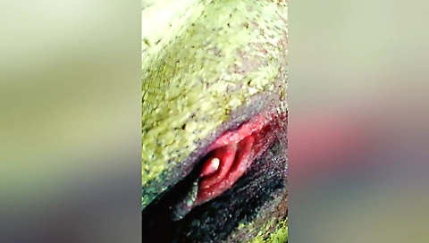 Busty babe fucked in an erotic pose at her bedroom